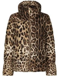 Dolce & Gabbana - Padded Leopard-Print Nylon Jacket - Lyst