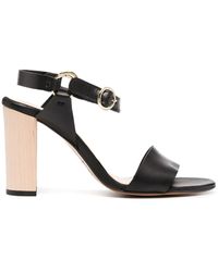 coconuts whitney sandal