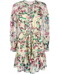 saloni pixie dress