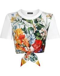 Dolce & Gabbana - Cotton-Silk Cropped T-Shirt - Lyst