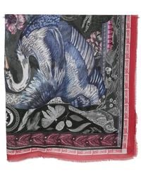 Just Cavalli - Bird-Print Frayed Scarf - Lyst