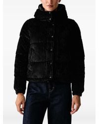 Save The Duck - Nadege Puffer Jacket - Lyst