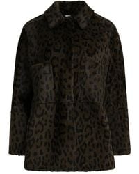 FURLING BY GIANI - Leopard Pockets Coat - Lyst
