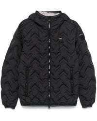 Blauer - Gesteppte Pier Jacke - Lyst