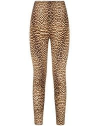Roberto Cavalli - Hose Mit Animal-Print - Lyst