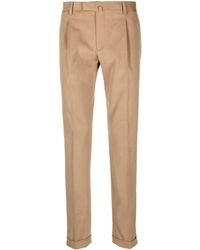 Briglia 1949 - Cotton Tailored Trousers - Lyst