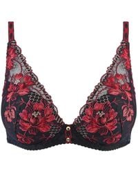 Aubade - Mélodie D'Eté Embroidered Plunge Bra - Lyst