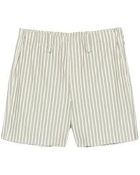 Issey Miyake - Vertical-Stripe Shorts - Lyst