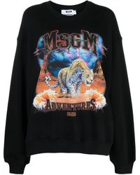 MSGM - Graphic-print Cotton Sweatshirt - Lyst
