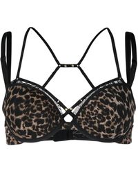 Marlies Dekkers - Push-up-BH mit Leopardenmuster - Lyst