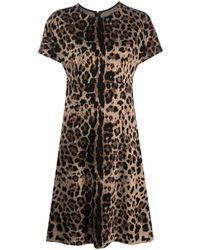 Dolce & Gabbana - Leopard-jacquard Short-sleeved Dress - Lyst