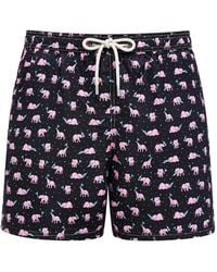 MC2 Saint Barth - Lighting Micro Fantasy Elephant-Print Swim Shorts - Lyst