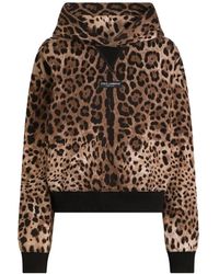 Dolce & Gabbana - Leo-Print Cotton Hooded Sweatshirt - Lyst