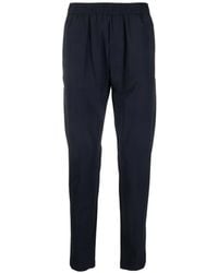 Pmds - Elastische Broek - Lyst