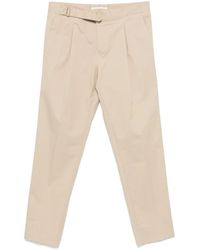 Briglia 1949 - Piccadilly Tailored Cotton Trousers - Lyst