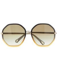 Chloé - Oversize Acetate Frame Gradient Sunglasses - Lyst