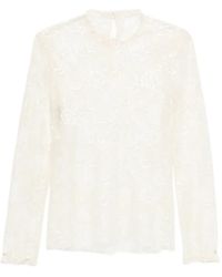Alberta Ferretti - Sequin-Embellished Floral-Lace Top - Lyst