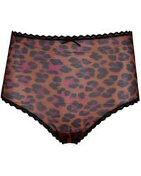 Laura Urbinati - Leopard-Print Lace-Trim Briefs - Lyst