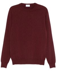 Malo - Kasjmier Trui Met Ronde Hals - Lyst