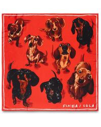 Bimba Y Lola - Fular con estampado de perro - Lyst