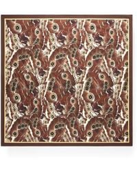 Roberto Cavalli - Butterfly-Print Scarf - Lyst
