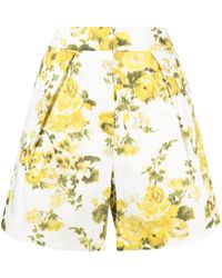 Erdem - Floral-print Cotton Shorts - Lyst