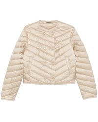 BOSS - Gesteppte Pranella Jacke mit Zickzackmuster - Lyst