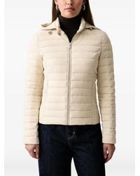 Trussardi - Quilted Hooded Jacket - Lyst