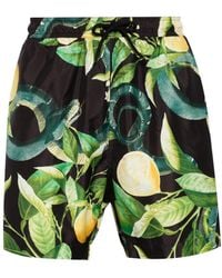 Roberto Cavalli - Tiger Tooth-Detailed Lemon-Print Swim Shorts - Lyst