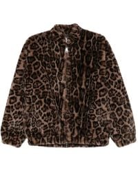 Betta Corradi - Giacca Con Stampa Leopardata - Lyst