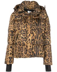 Sam. Chaqueta acolchada con motivo de leopardo - Marrón