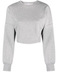 Pinko - Sereno Cropped Jersey Sweatshirt - Lyst