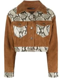 Giuseppe Zanotti - Snakes-Panelled Jacket - Lyst