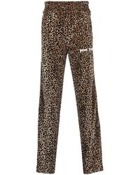 Palm Angels - Leopard-Print Track Pants - Lyst