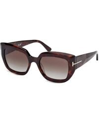 Tom Ford - Saltzman Butterfly-Frame Sunglasses - Lyst