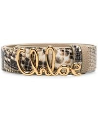 Chloé - Gürtel Mit Schlangeneffekt Und Logo-Schnalle - Lyst