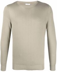 Malo - Crew Neck Cotton Jumper - Lyst