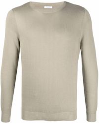 Malo - Crew Neck Cotton Jumper - Lyst