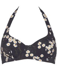 Eres - Passionnel Floral-Print Bikini Top - Lyst