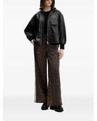 adidas - Leopard-Print Track Trousers - Lyst
