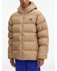 adidas - Gewatteerd Jack Met Capuchon - Lyst