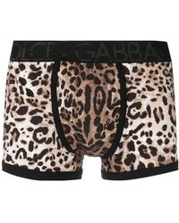 Dolce & Gabbana - Leopard-print Stretch-cotton Boxers - Lyst