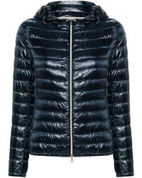 Herno - Gewatteerd Donsjack - Lyst
