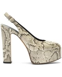 Casadei - Patty Python-Print Platform Pumps - Lyst