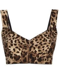 Dolce & Gabbana - Leopard-Print Bustier Top - Lyst