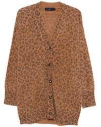 arch4 - Cárdigan Mr Dubois Con Estampado De Leopardo - Lyst