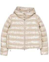 Herno - Hooded Quilted Zip-Up Jacket - Lyst