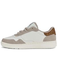 K-swiss - Suede-Panelled Leopard-Print Sneakers - Lyst