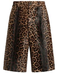 Dolce & Gabbana - Leopard-Print Calfskin Trousers - Lyst