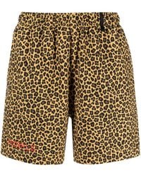 Purple Brand - Leopard-print Swim Shorts - Lyst